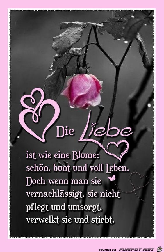 Die Liebe ist wie eine Blume