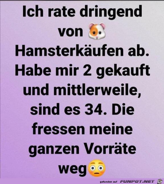 Hamsterkufe