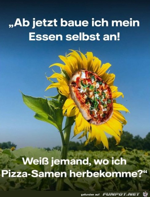 Essen selber anbauen