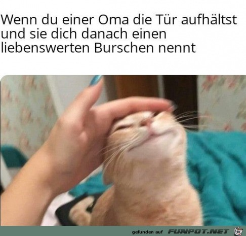 Ein liebenswerter Bursche