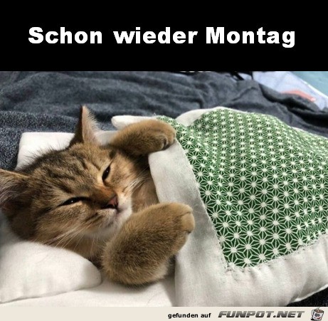 Montag