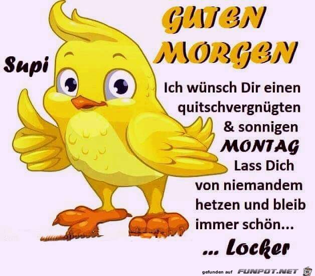 guten Morgen