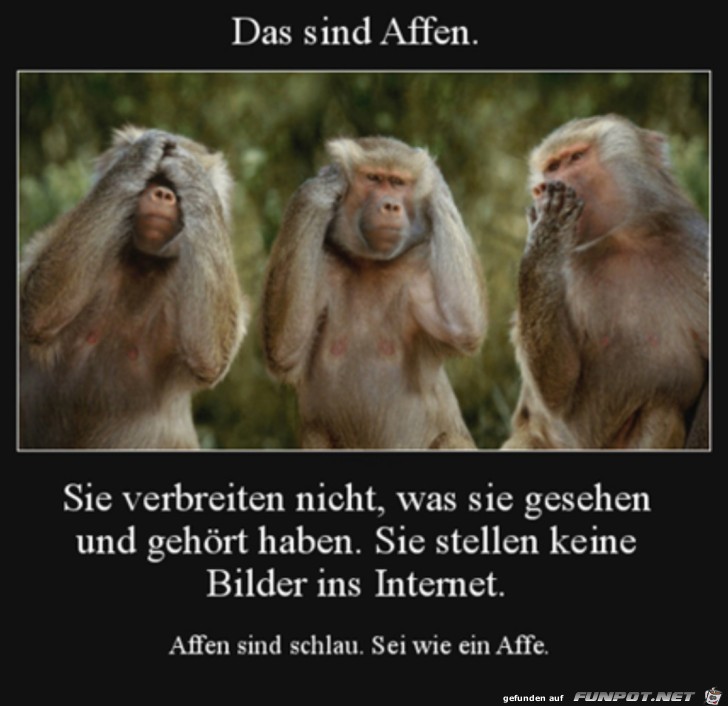 Sei wie ein Affe