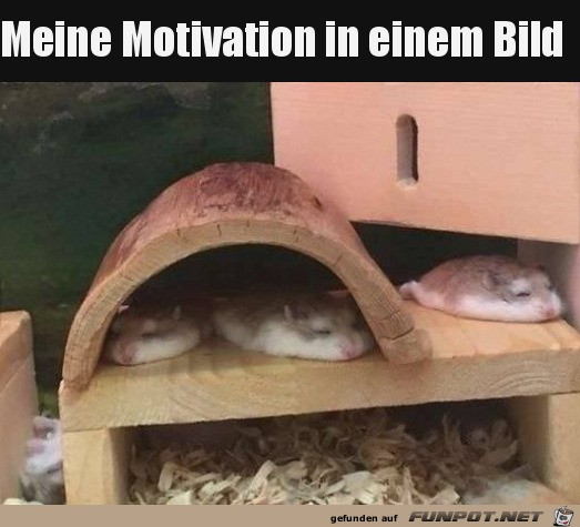 Meine Motivation