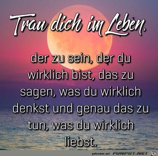 Trau dich im Leben