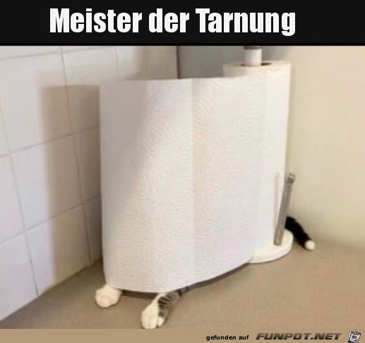 Meister der Tarnung