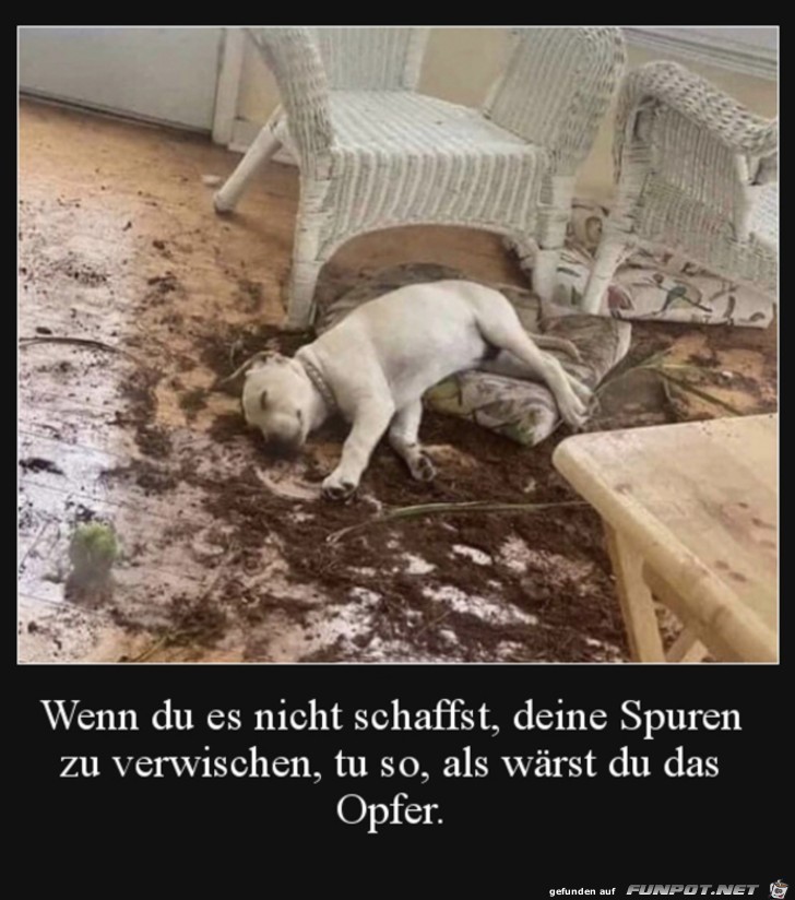 Er ist das Opfer