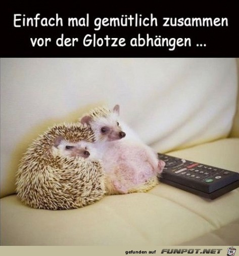 Gemtlich fernsehen