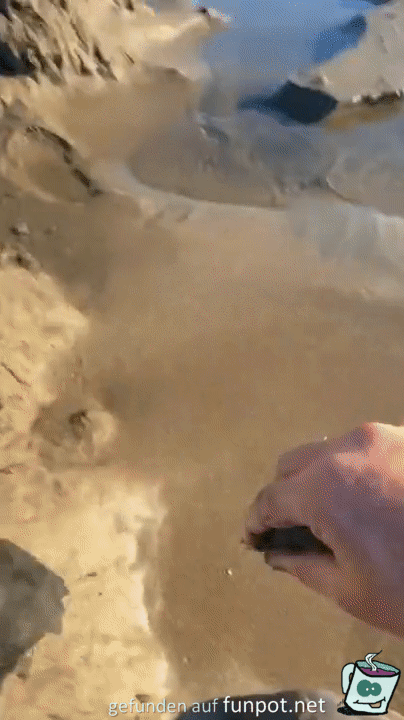 Sand-Trmchen