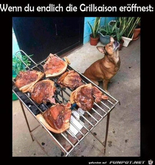 Die Grillsaison ist erffnet