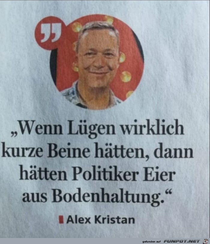 Politiker Politiker