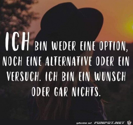 Keine Option