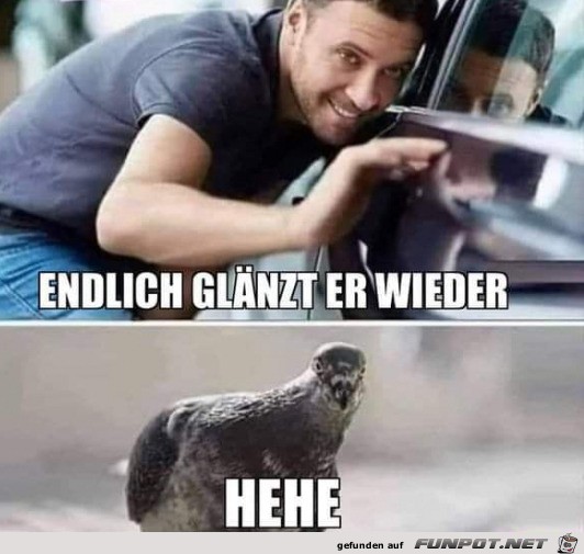 Da lacht jemand