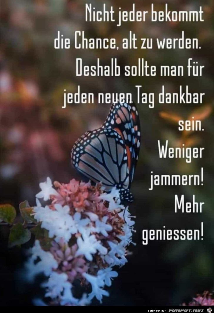 Mehr genieen