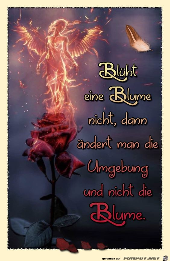Blüht eine Blume nicht Blüht eine Blume nicht