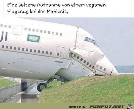 Flugzeug