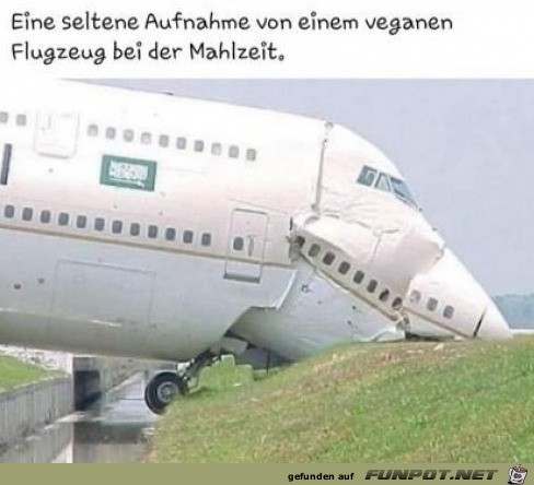 Flugzeug isst