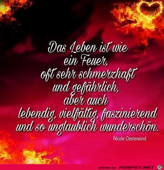 Das Leben ist wie ein Feuer