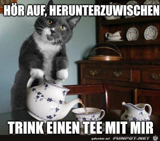 Trink einen Tee