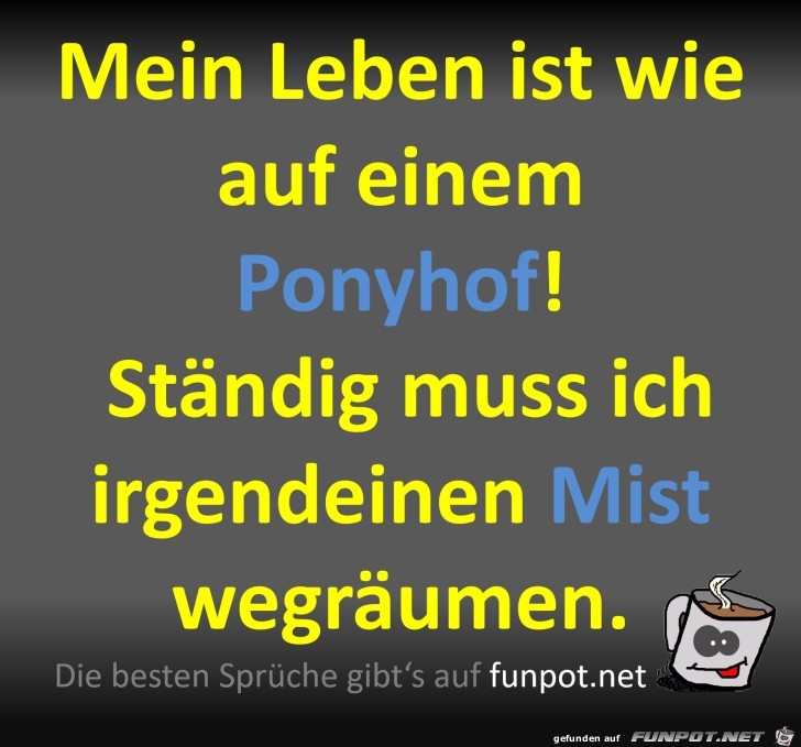 Ponyhof