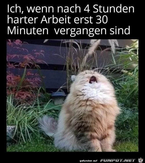 Das Leben ist hart