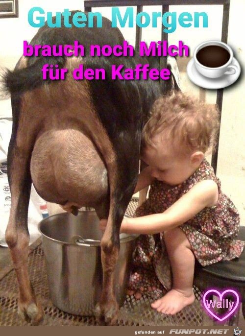 Brauch noch Milch