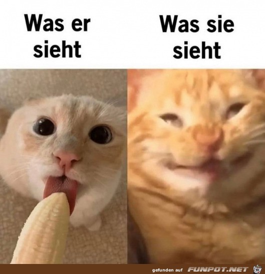 Unterschiedliche Sicht