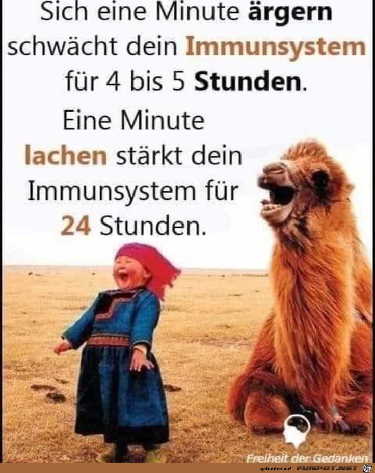 1 Minute lachen 1 Minute lachen