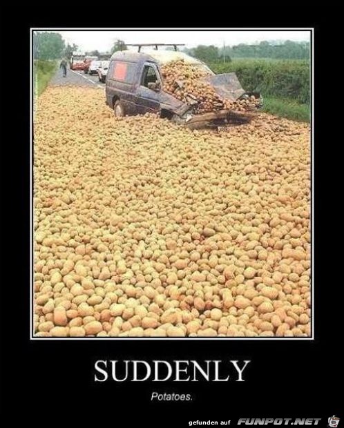 Ziemlich viele Kartoffeln
