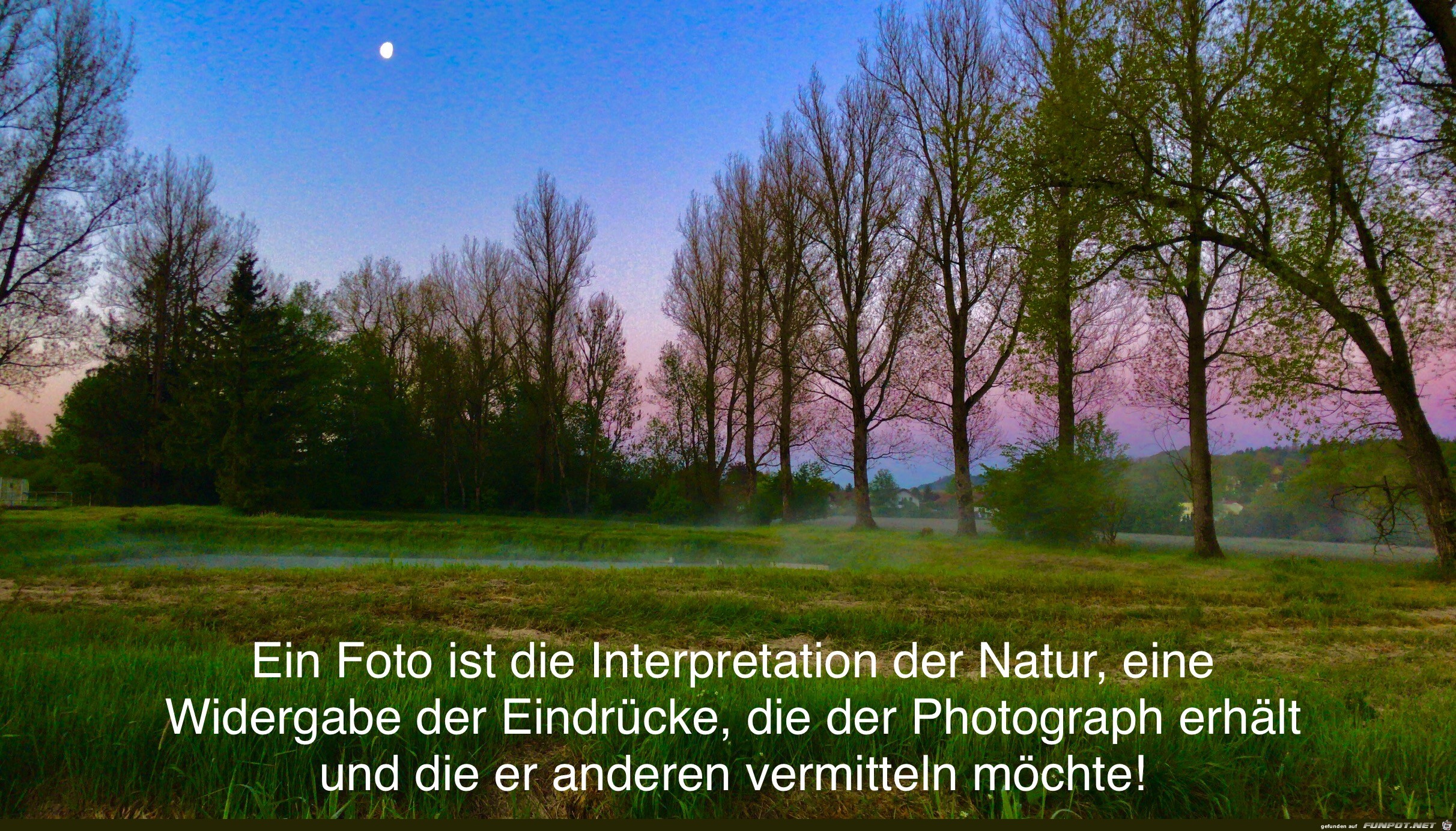 Natur pur