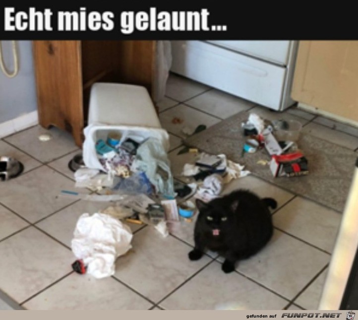 Mies gelaunt