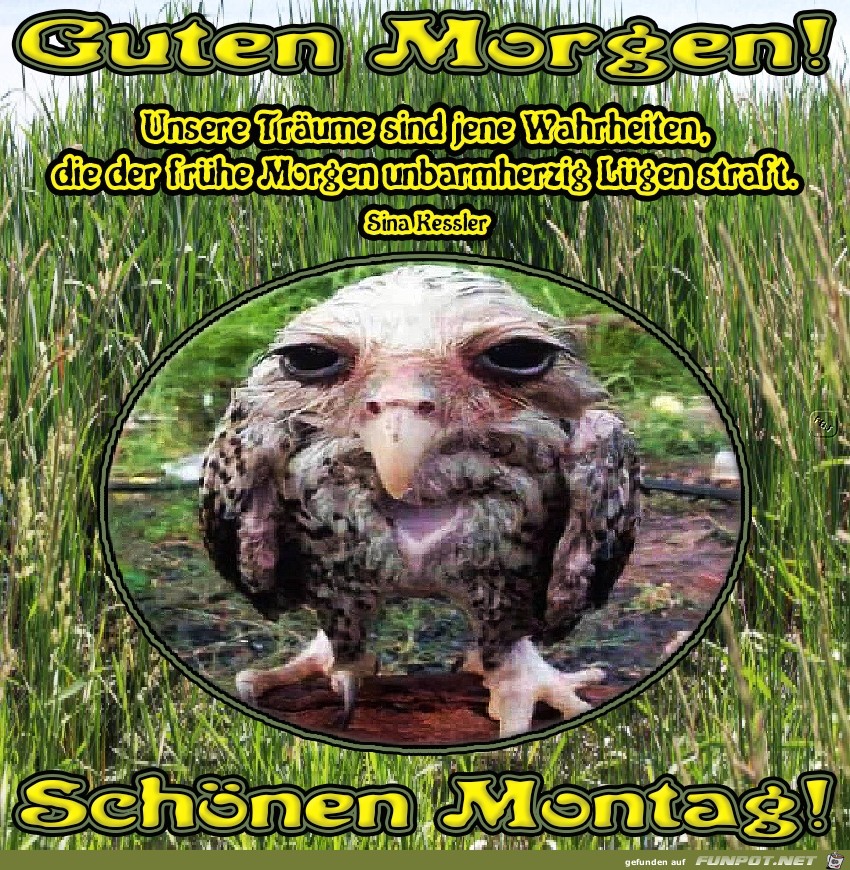 Montag