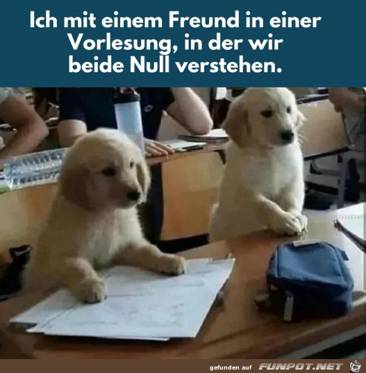 Null Plan von nichts