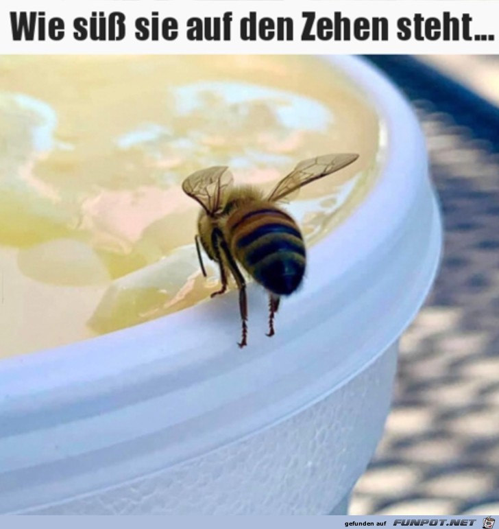 Sehr nett