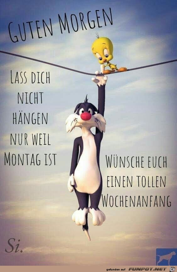 guten Morgen