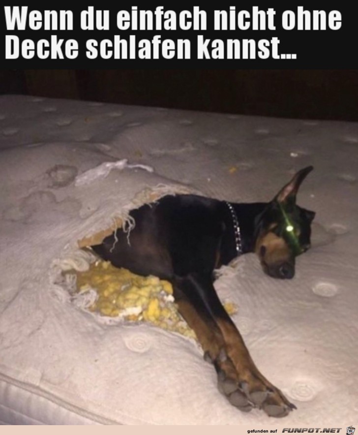 Ohne Decke geht nichts