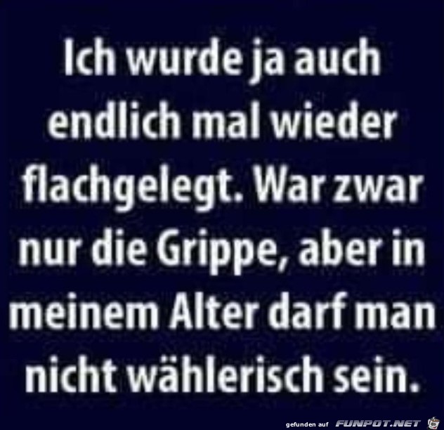 Flachgelegt Flachgelegt