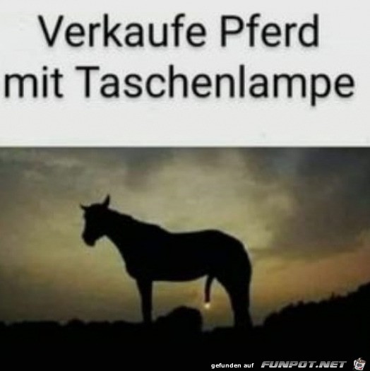 Verkaufe Pferd