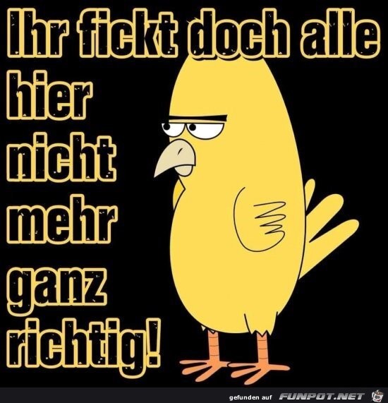 Ihr fickt