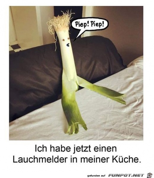 Toller Lauchmelder