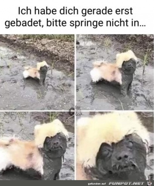 Gerade erst gebadet