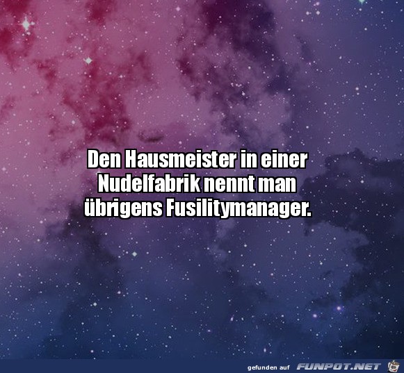 Hausmeister