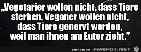 Der Unterschied Der Unterschied