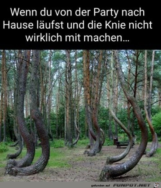 Die Knie versagen