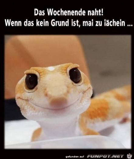 Ein Grund zum Lcheln