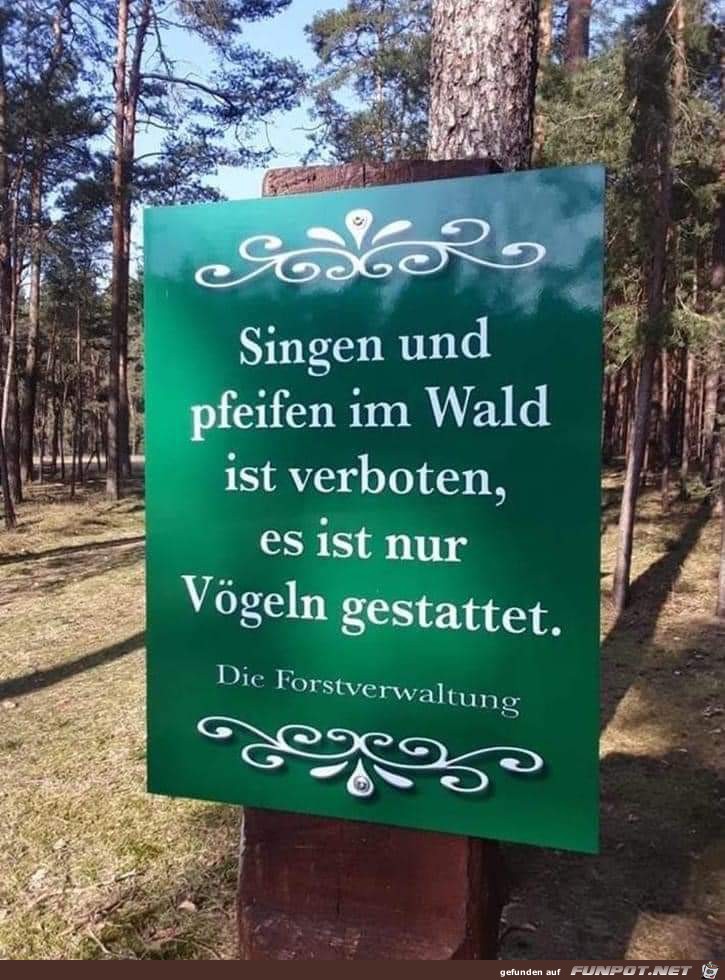 im Wald