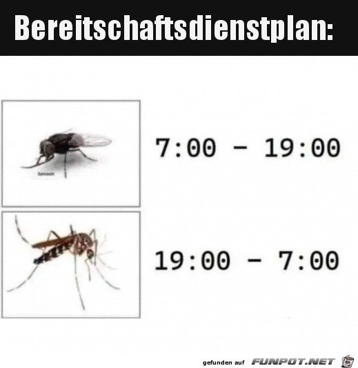 Bereitschaftsplan