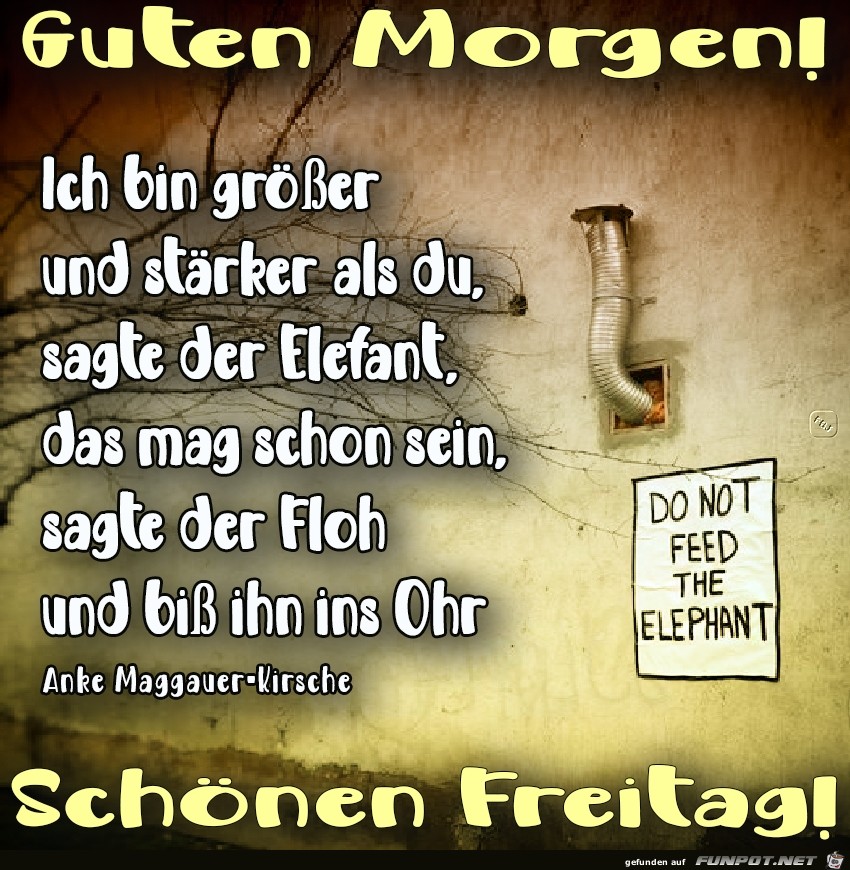 Freitag