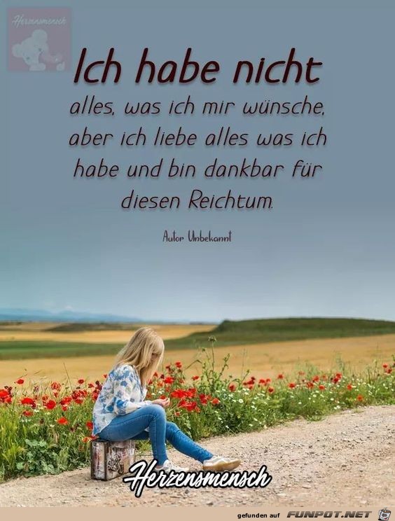 Ich habe nicht alles