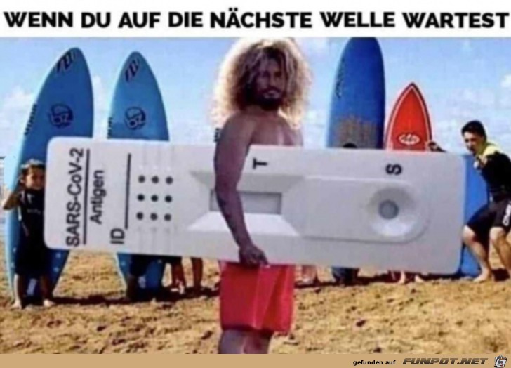 Die nchste Welle